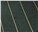 Hunter Gold Stripe